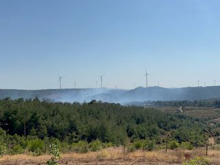 Çanakkale’deki orman yangınında son durum