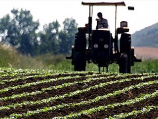 Tarım üreticisinin enflasyonu aylık yüzde 5,66 azaldı