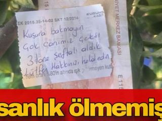 Bursa'da şeftali alan vatandaş çiftçiye mesaj bıraktı