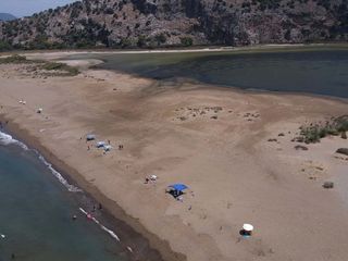 İztuzu’nda caretta caretta yuvaları arttı