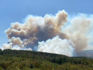 Kocaeli'nin Karamürsel ilçesinde orman yangını