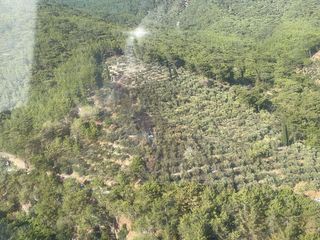Kazdağları Milli Parkı'ndaki yangın kontrol altında