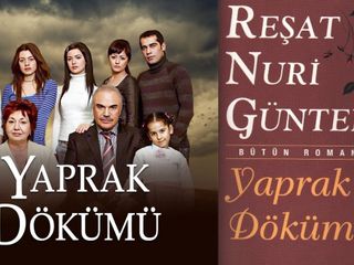Yaprak Dökümü dizisiyle romanı arasında sandığınızdan çok fark var