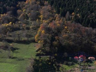 Hamsiköy sonbaharda renk cümbüşüne büründü