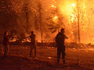 Çanakkale'de 2025 yılında çıkan orman yangınlarda bilanço