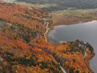 Bolu’nun doğa harikası Abant'a ziyaretçiler yoğun ilgi gösteriyor