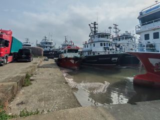 Trabzon'un Araklı Limanı'nda hafta sonu hamsi yoğunluğu yaşandı