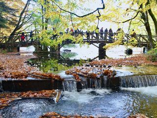 Yedigöller sonbaharda ziyaretçi akınına uğruyor