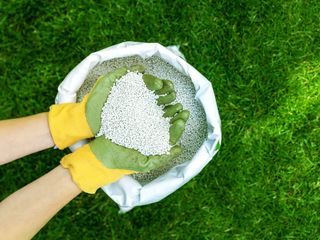 Bahçenizi Mahvedebilir! Gübre Uygularken Yapılan 5 Hata