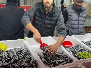 Zonguldak'ta hava şartları hamsi fiyatını yükseltti