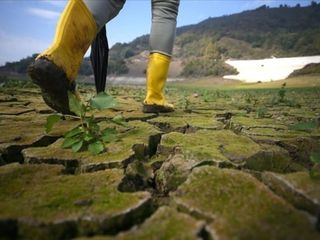 Dünya tarım bakanları, gıda ve su israfını önlemek için İstanbul’da buluşuyor