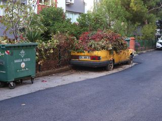 İzmir'de 8 yıldır park halindeki otomobili sarmaşıklar kapladı