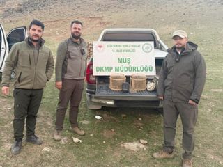 Muş’ta kaçak kafes avcılığına suçüstü: 20 bin lira ceza