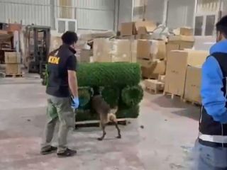 Hatay'da binlerce uyuşturucu hapı yapay çimin içerisine sakladılar