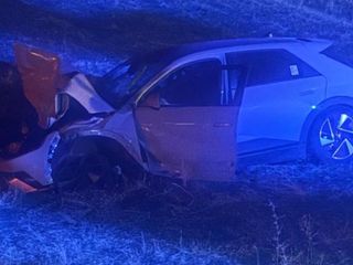 Muş'ta otomobilin çarptığı inek telef oldu