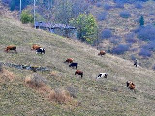 Saveriksa Yaylası’nda sonbaharın büyüleyici manzaraları