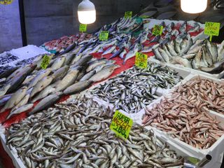 Samsun'da soğuyan havayla, balık tezgahları da hamsi ile doldu