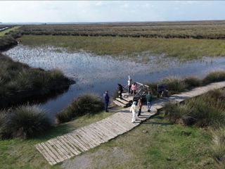Kızılırmak Deltası Kuş Cenneti ziyaretçilerini bekliyor
