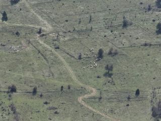Bolu’da kayıp hayvanlar drone yardımı ile bulundu