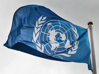 BM Paneli: İsrail fiili işkence politikası yürütüyor