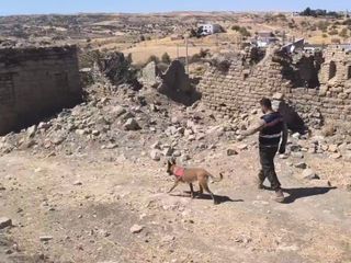 Siirt’te 74 gündür kayıp olan Alzheimer hastası yaşlı adam ölü bulundu
