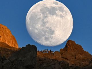 Van'da büyüleyici an: Süper dolunay, dağ keçileriyle zirvede buluştu