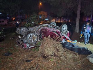 Karabük'te feci kaza: Çarptığı ağacı kökünden söktü