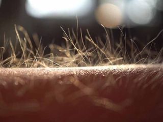 Rüyada kıl (tüy) görmek ne demek? Rüyada kıl kesmek, kıl kopartmak, kıllanmak anlamları...