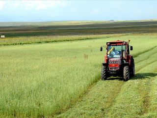 Çiftçilere 1,1 milyar liralık destekleme ödemesi bugün yapılacak