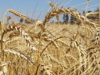 BM'den su ve gıda israfıyla mücadelede iş birliği çağrısı
