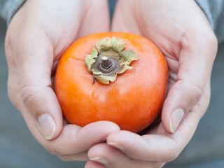 Cennet hurması: Kış aylarında sindirim ve damar sağlığına doğal destek