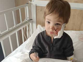 Ankara'da minik Efe'ye saldırın pitbullun sahibi: Koruma içgüdüsüyle yaptı