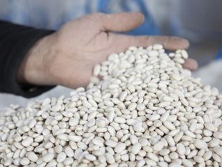 DMM, 'kuru fasulye krizi' iddiasını yalanladı