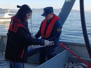 Giresun’da balıkçılıkta sıkı denetim: Sahil Güvenlik ve ekipler ortak kontrolde