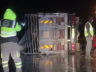 Ankara'da devrilen kamyonda çok sayıda hayvan telef oldu