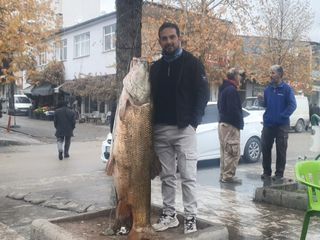 Elazığ'da 60 kiloluk turna balığı yakalandı
