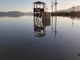 Muğla'da süren yağışlar Köyceğiz Gölü'nü taşırdı: Kordon ve plaj sular altında kaldı