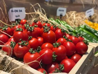 Domates, biber ve salatalık tohumları Türkiye'den yurt dışına gidiyor