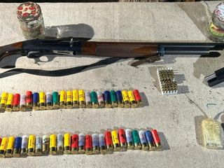 Adana'da evinde 2 silah, el bombası ve patlayıcı ele geçirilen zanlı tutuklandı