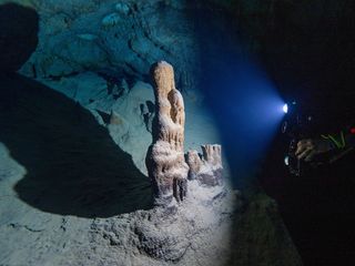 Doğu Akdeniz'in derinliklerine inen dalgıçlar canlıların renkli dünyasını görüntüledi