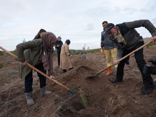 Ankara'da TUSAŞ şehitleri için binlerce fidan dikildi