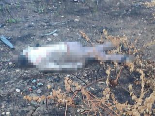 Mersin’de kaza: Sürücü 30 metreden aşağı düştü