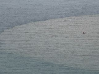 Bartın Irmağı'nın döküldüğü noktada denizin rengi değişti