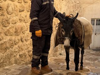 Mardin'de 'kadrolu' eşekleri emekli edecek proje hayata geçiyor