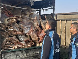 Gaziantep'te 1,9 ton bozulmuş et imha edildi