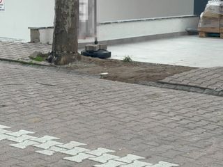 Kocaeli'de marketin temizlik görevlisi bulduğu 60 bin doları polise teslim etti