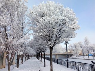 Bayburt’ta vatandaşlar güne kar yağışıyla uyandı