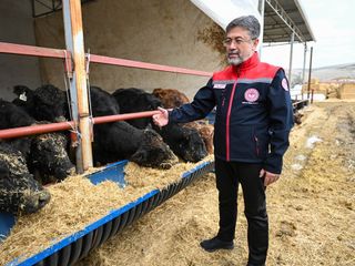 Kırmızı et üretimini artıracak projede hayvan teslimleri başladı