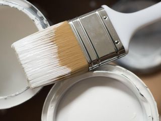 Usta ressam açıkladı: Eve en çok yakışan 4 duvar rengi…