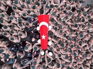 İstanbul'da PÖH Emre Albayrak'ı şehit eden zanlının aile üyesi olan 5 şüpheli tutuklandı